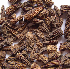 廣元山菇 綠色珍寶，品味自然之韻